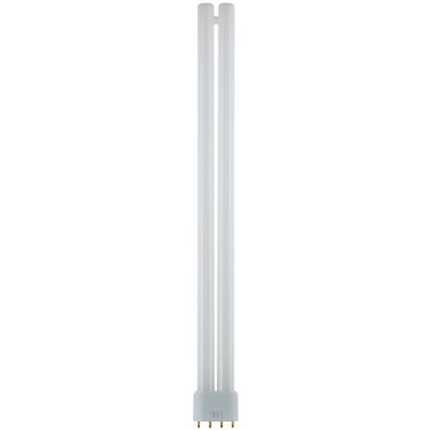 Light Bulb (36 Watt) (4 Pin) (Twin Tube) (41K) 2G11 Base