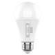 LED Light Bulbs