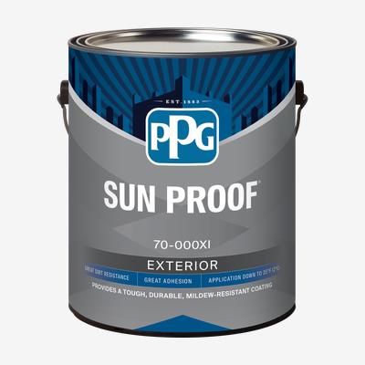 Exterior Latex Paint (Satin) (White) (5 Gallon)