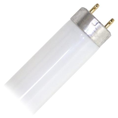 48" Fluorescent Bulb 2 Pin (Base G13) (FO32/841) (32 Watt) (41K)