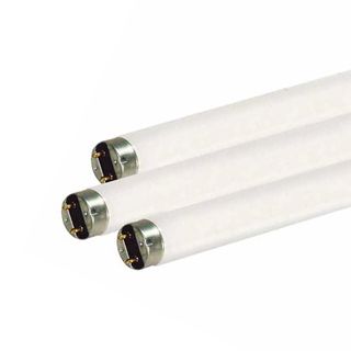 18" Fluorescent Bulb 2 Pin (Base G13) (F15T8) (15 Watt) (65K)