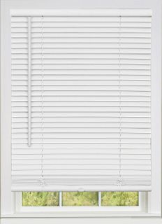 Cordless 1" Mini Blind (White) (27" x 48")