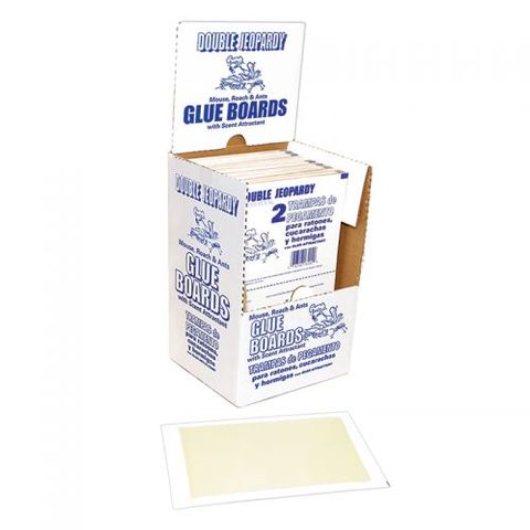 Flat Glue Board (Banana Scented)  (72 Case)