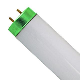 ALTO Philips 4' Fluorescent Light Bulb 2-Pin (Base G13) (F40T12/741) (40 Watt) (41K)