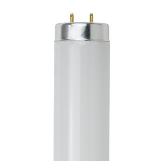 18" Fluorescent Bulb 2 Pin (Base G13) (F15T12/CW) (15 Watt) (41K)