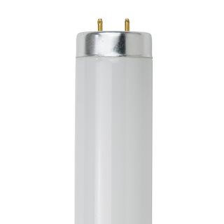 18" Fluorescent Bulb (2 Pin G13) (F15T12/CW) (15 Watt) (41K)