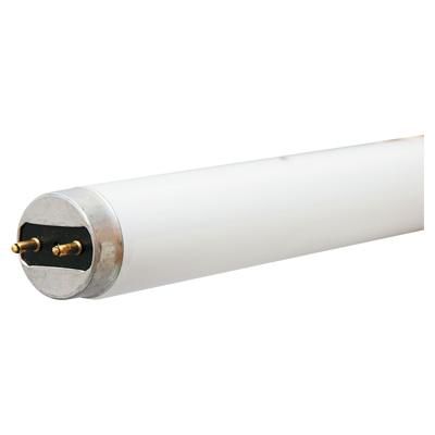 2' Fluorescent Light Bulb (2-Pin G13) (F17T8/841) (17 Watt) (41K)