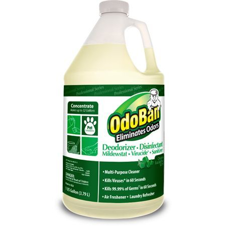 OdoBan Concentrated Eliminator - Eucalyptus (Gallon) (4 Case)