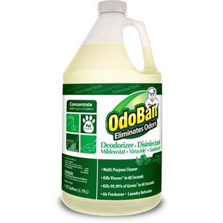 OdoBan Concentrated Eliminator - Eucalyptus (Gallon) (4 Case)