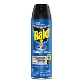 Raid Flying Insect Killer (15 oz)