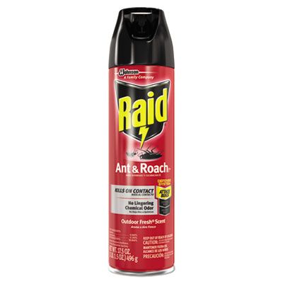 Raid Ant & Roach Spray (17.5 oz)