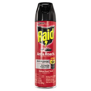 Raid Ant & Roach Spray (17.5 oz)