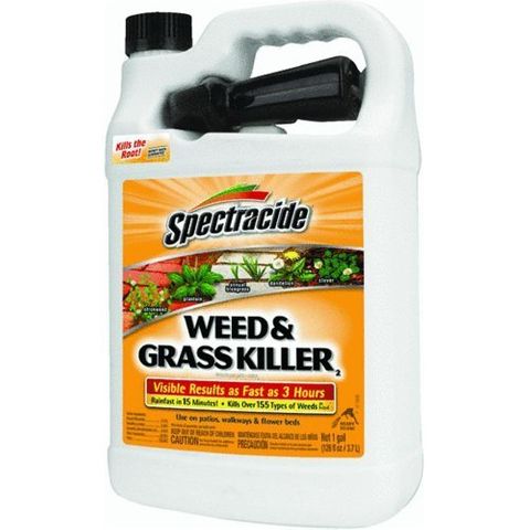 Weed & Grass Killer RTU (Gallon)