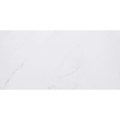 Vivaldi Porc Wall Tile (12" x 24") (14.25 Sq Ft)