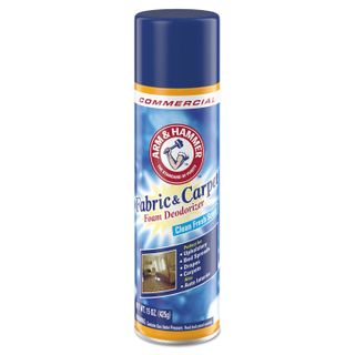 Arm & Hammer Fabric & Carpet Foam Deodorizer (15 oz)