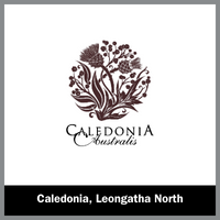 CALEDONIA