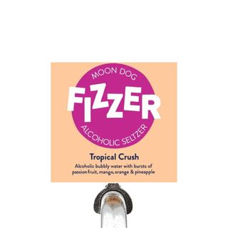 Fizzer Tropical Crush Keg 50L