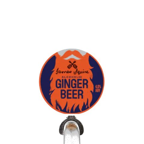 James Squire Alc Ginger Beer Keg 49.5L