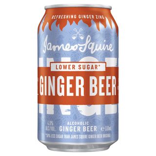 James Squire Low Sugar Ginger Beer x24