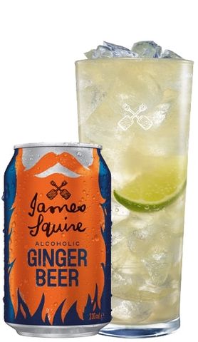 James Squire Ginger Beer Can 330ml x16