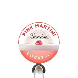 Gordons Pink Gin Martini 10% 10L