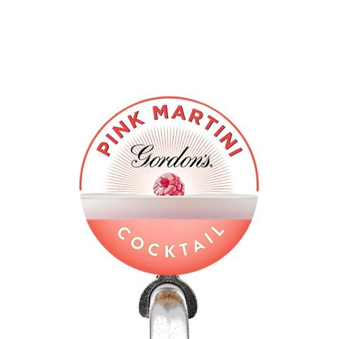 Gordons Pink Gin Martini 10% 10L