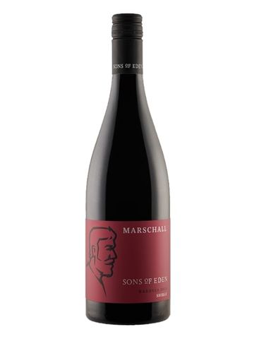 Sons of Eden Cahoots BV Shiraz