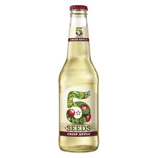 5 Seeds Crisp Apple Cider 345ml-24