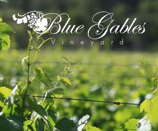 Blue Gables Vineyard