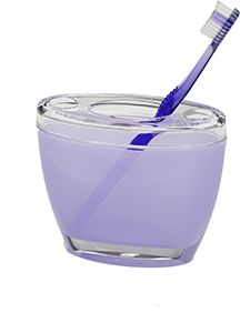 Creative Home Toothbrush Holder Oval Purple