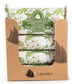 Caravela Jasmine Wrapped Soap 130g CDU/20