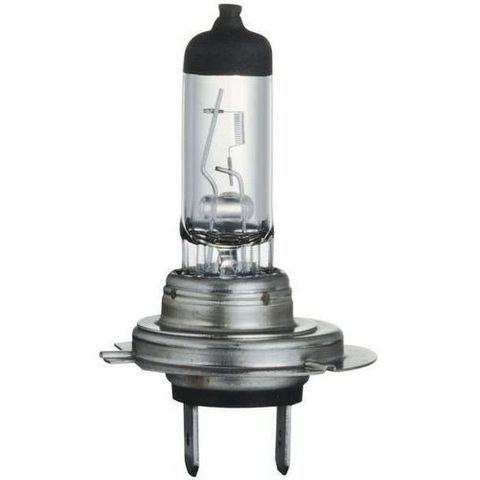 Globe H7 12V 55W Halogen