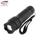 Torch Light w/5W LED