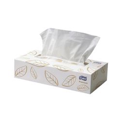 Facial Tissue Tork Extra Soft 100s 2ply Ctn of 48