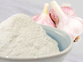 GARLIC POWDER 500GR W.F.