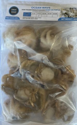OCTOPUS 16/25 900GR