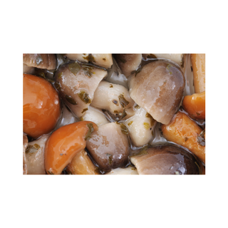 MUSHROOMS GRILLED BUTTONS IN OIL 1.6KG JAR MASIELLO