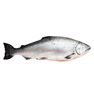 SALMON ORA WHOLE FISH G&G 2 PER BOX - PRE ORDER ONLY