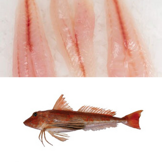 FRESH FISH TO ORDER - GURNARD FILLETS SKLS/BLS PER KG