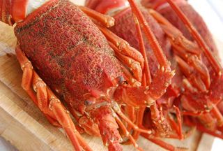 SEAFOOD-CRAYFISH