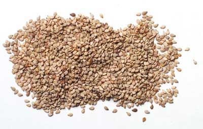 SESAME SEEDS