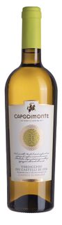 **VERDICCHIO CLASSICO SUPERIORE (13.5%) 750ml