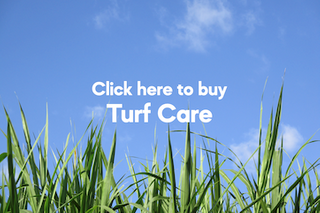 Lawn Turf & Care
