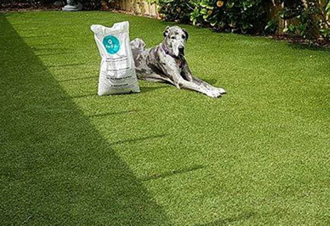 4 PAWS PET GRASS 30MM X 3.71 SNG