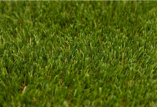 NATURAL 30MM ( 4M WIDE) GRASS ET / SNG