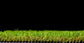 NATURAL 30MM ( 4M WIDE) GRASS ET / SNG