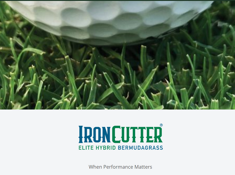 IRONCUTTER ELITE HYBRID BERMUDAGRASS