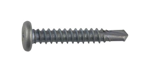 WAFER HEAD SCREW 10g