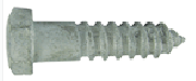 COACH SCREW 10g GALVANISED