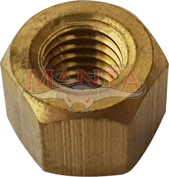 Nissan M8x1.25p BRASS Nut